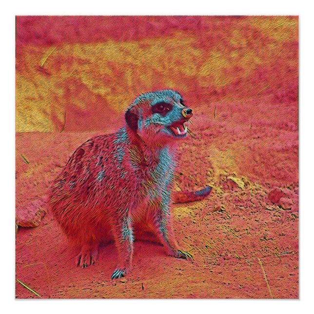 Pôster Animais populares - Meerkat (Frente)