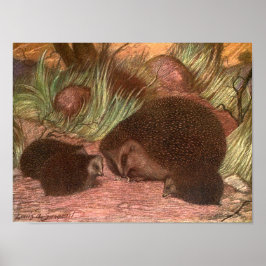 Pôster Animais Selvagens Antigos,ouriços-cacheiros por Lo