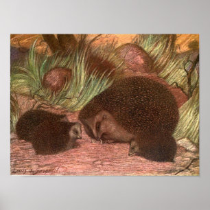 Pôster Animais Selvagens Antigos,ouriços-cacheiros por Lo