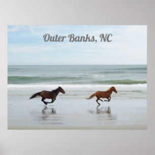 Poster Animais selvagens Bancos externos OBX Corolla NC