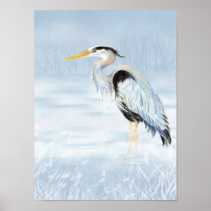 Poster Animais selvagens da natureza do pássaro da