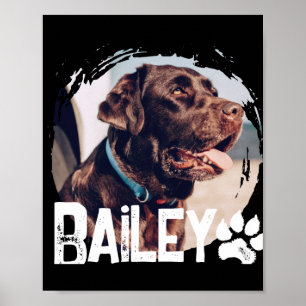 Poster Animais Simples Modernos Nome E Foto Legal 