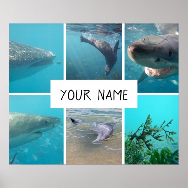 Poster Animais Submarinos Personalizados na Austrália (Frente)