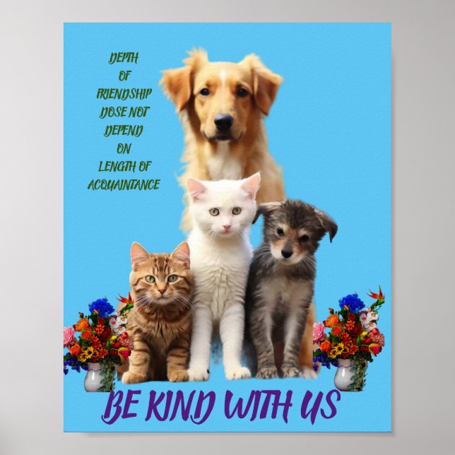 poster animal (Frente)