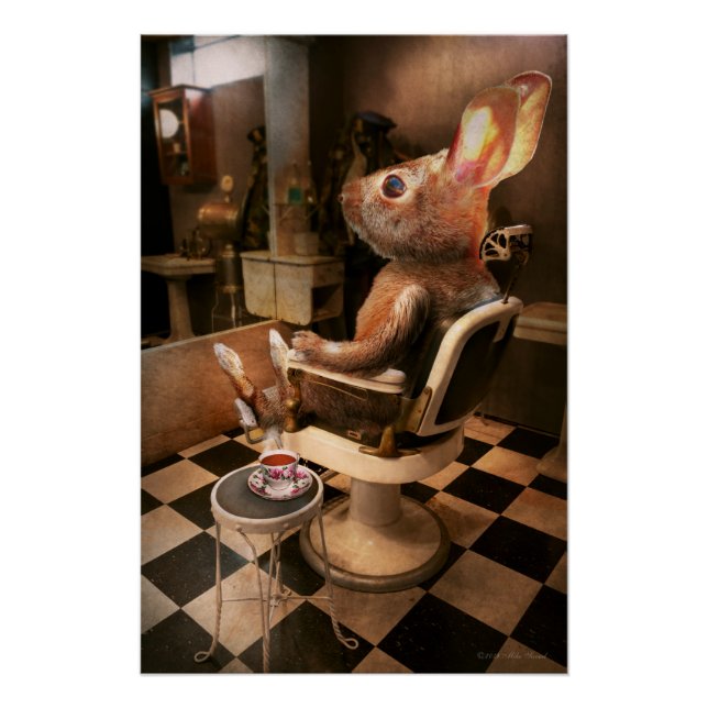 Pôster Animal - Coelho - Corte de lebre (Frente)