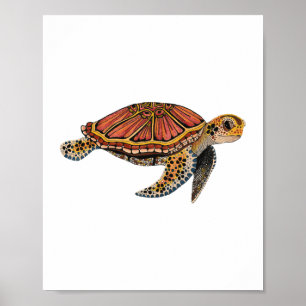 Poster Animal de Tartaruga-do-mar