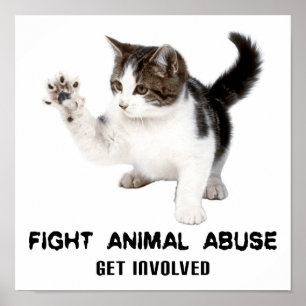 POSTER ANIMAL DO GATINHO DO ABUSO DA LUTA