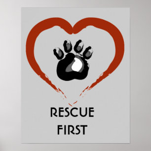 Poster animal do salvamento