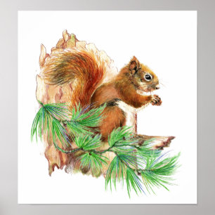 Poster animal dos animais selvagens do esquilo