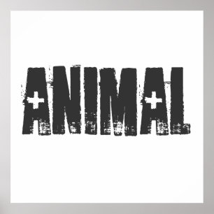 Poster Animal - Malhação de criação de aves