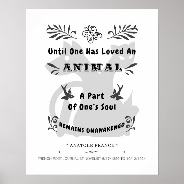 Poster Animal Quote (Frente)