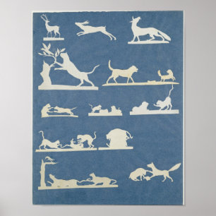 Poster Animal Scenes and Playing Cats