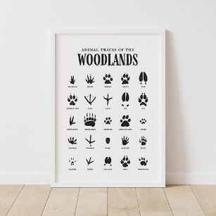 Poster Animal Tracks Woodland Nursery Decor