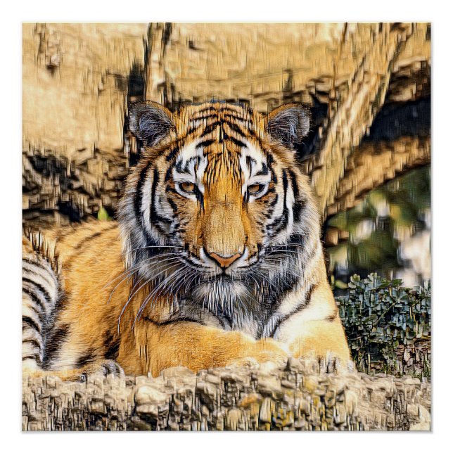 Pôster AnimalMix_Tiger_009_by_JAMColors (Frente)