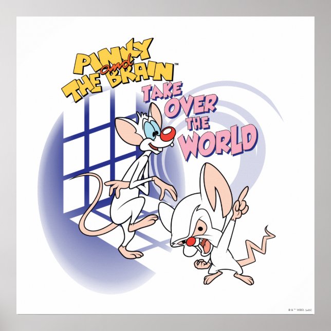 Poster Animaniacs | Assumir O Gráfico Mundial (Frente)