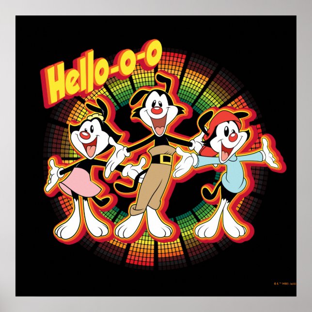 Poster Animaniacs | Hello-o-o Retro Equalizer Graphic (Frente)