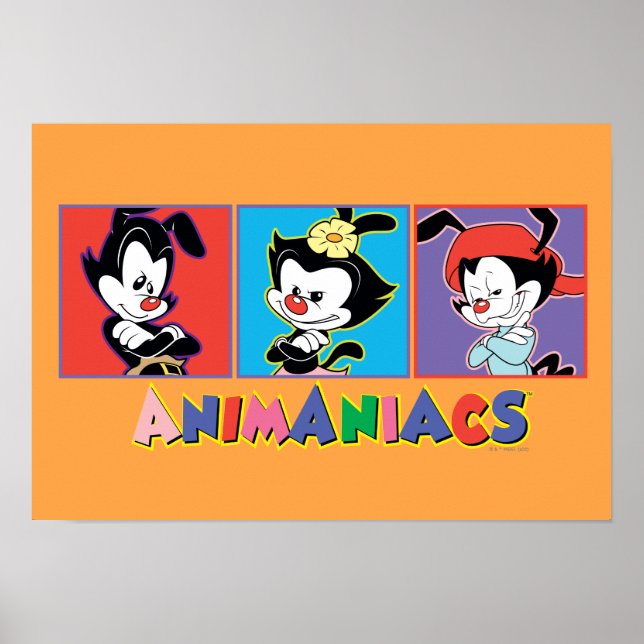 Poster Animaniacs | Yakko, Dot, & Wakko Panel Graphic (Frente)
