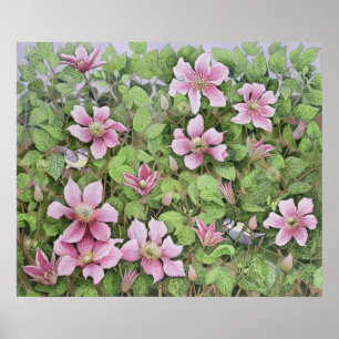 Poster Aninhamento no Clematis