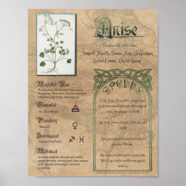 Poster Anise Herbal Book of Shadows Pagan Wiccan