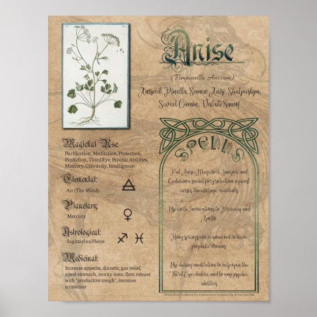 Poster Anise Herbal Book of Shadows Pagan Wiccan (Frente)