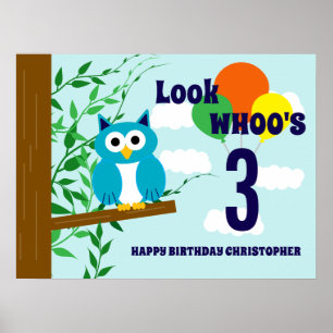 Poster Aniversário da Coruja