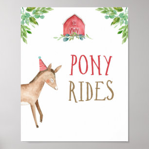 Poster Aniversário do Poy Rides Farm