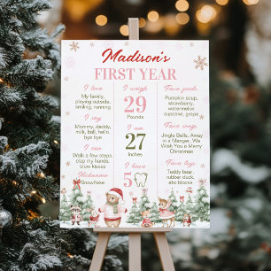Poster Aniversário Floresta de Inverno Natal Rosa Marco M
