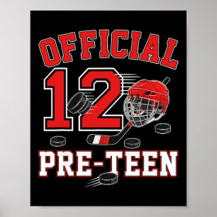 Poster Aniversário Oficial de 12 Anos de Pré-adolescente