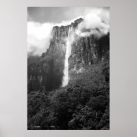 Anjo cai em preto e branco