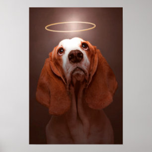 Pôster Anjo de Basset Hound