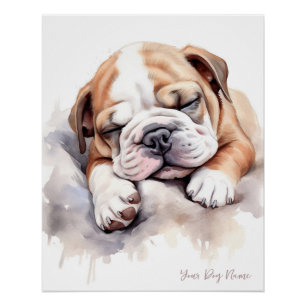 Pôster Anjo super giro dormindo cachorrinho Bulldog 001 -