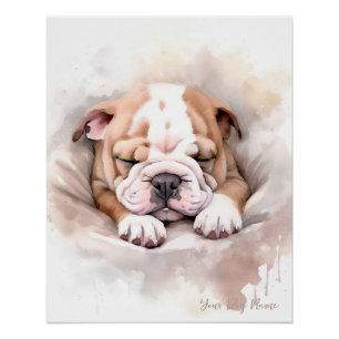 Pôster Anjo super giro dormindo cachorrinho Bulldog 002 -