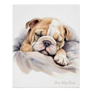 Pôster Anjo super giro dormindo cachorrinho Bulldog 003 -