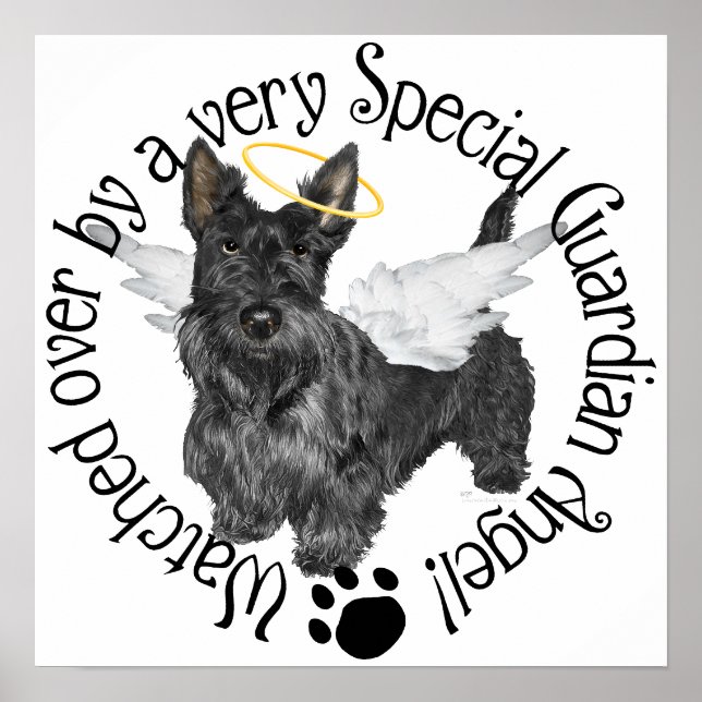 Pôster Anjos Scottish Terrier (Frente)