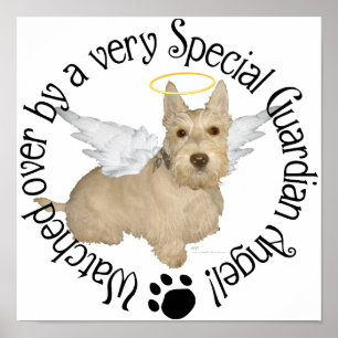 Pôster Anjos Wheaten Scottish Terrier