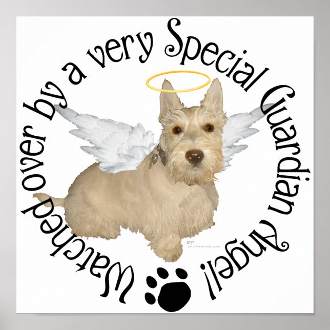 Pôster Anjos Wheaten Scottish Terrier (Frente)