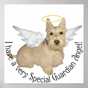 Pôster Anjos Wheaten Scottish Terrier