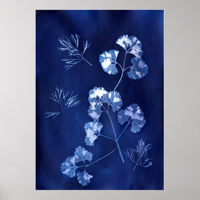 POSTER ANNA ATKINS (Frente)