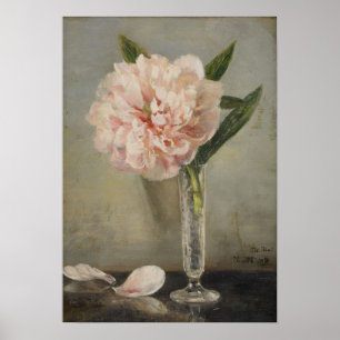 Poster Anna Munthe-Norstedt Ainda vive com um povo