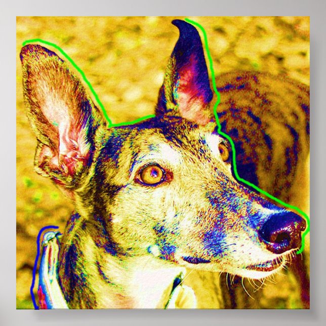 Pôster Annie (Frente)