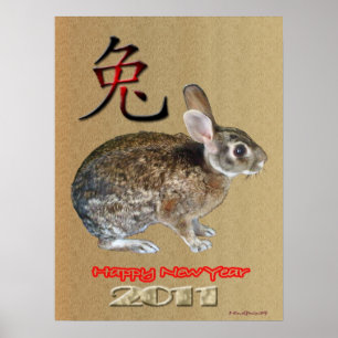 Poster Ano 2011 do coelho
