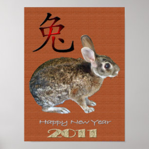 Poster Ano 2011 do coelho