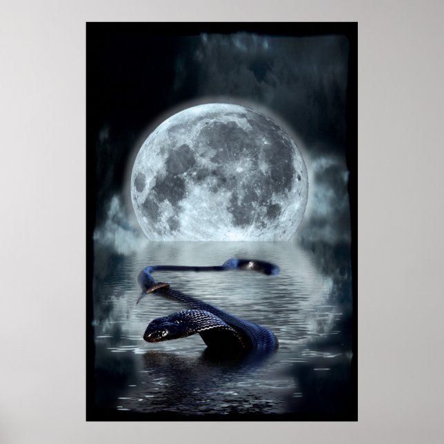 Poster Ano Chinês do Cobra Cobra Cobra (Frente)