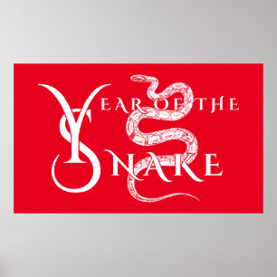 Poster Ano da serpente