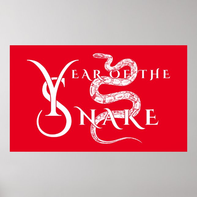 Poster Ano da serpente (Frente)
