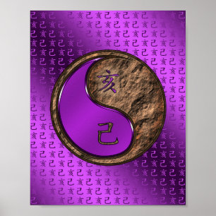 Poster Ano do Carro da Terra