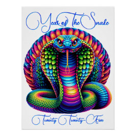 Pôster Ano do Cobra