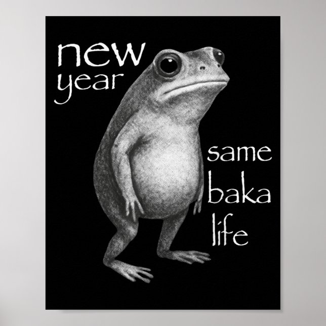 Poster Ano Novo Mesma Vida de Baka Piada de Sapo Divertid (Frente)