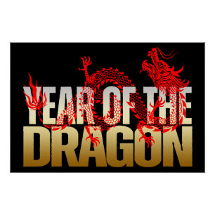PÔSTER ANO PERSONALIZADO DA FESTA DE ANIVERSÁRIO DRAGON