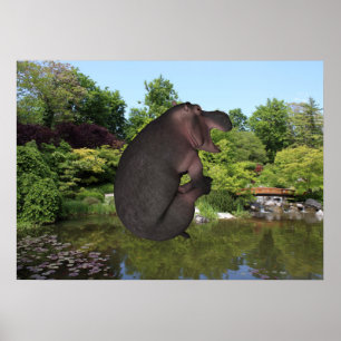 Pôster Anônbola de Hippo